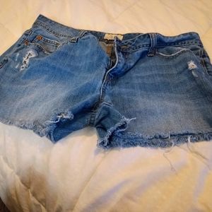 Womens shorts